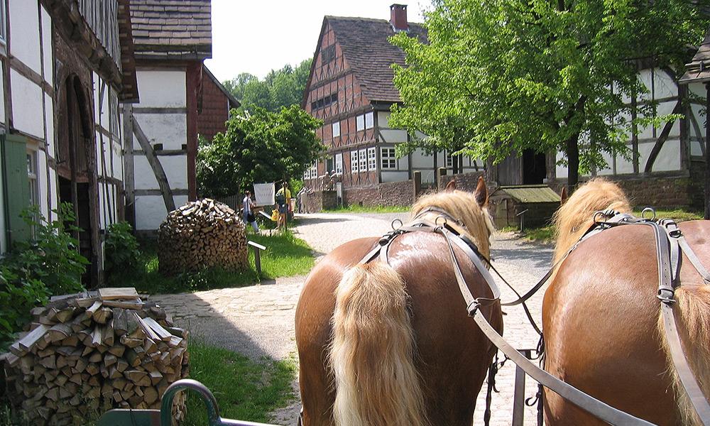 LWL Freilichtmuseum - © Landschaftsverband Westfalen-Lippe