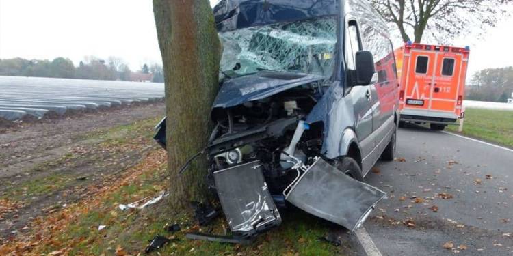 Trotz des heftigen Aufpralls gegen den Baum, erlitt der Fahrer des Kleintransporters nur leichte Verletzungen - © Polizei Rahden