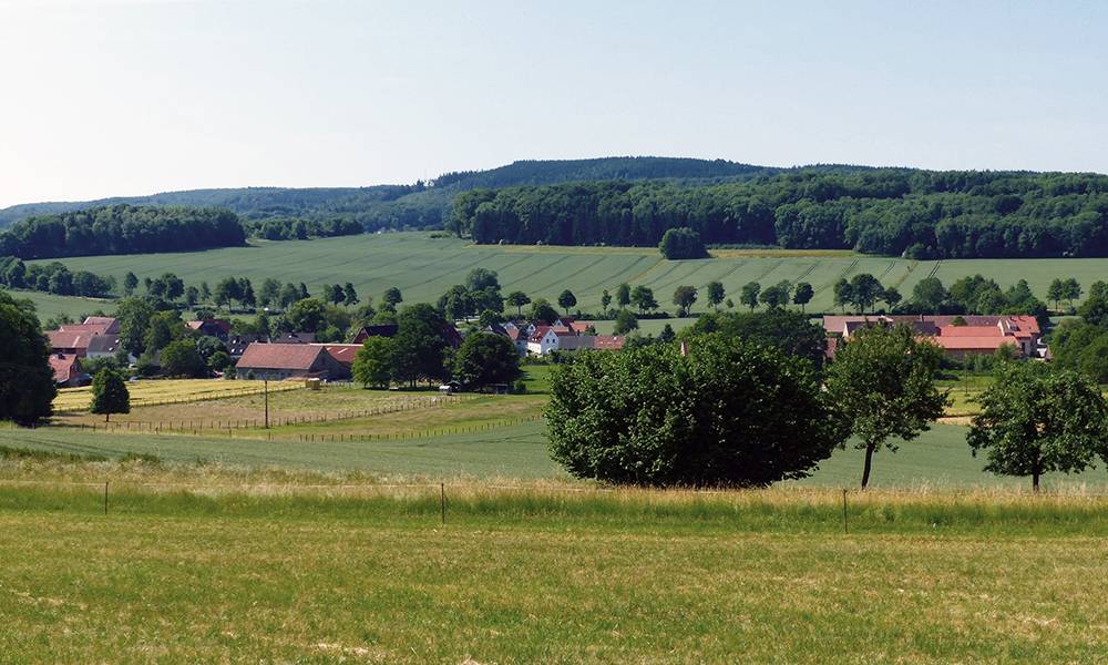 Mehr als nur „Leben im Grünen“: Beim Wettbewerb „Unser Dorf hat Zukunft“ zeigen lippische Dörfer, warum sie ein attraktiver Lebensort sind. - © Kreis Lippe